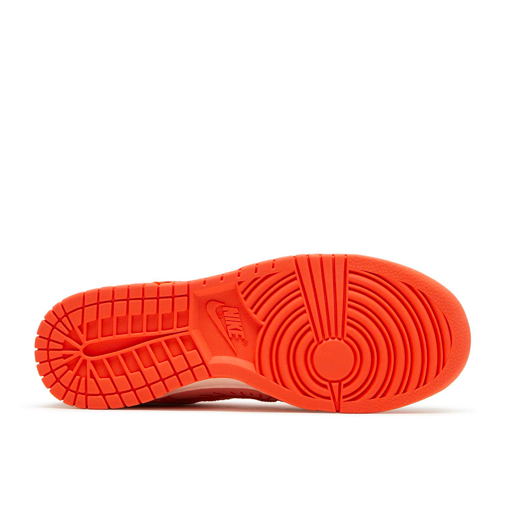 Nike Dunk Low NH Winter Solstice (W)